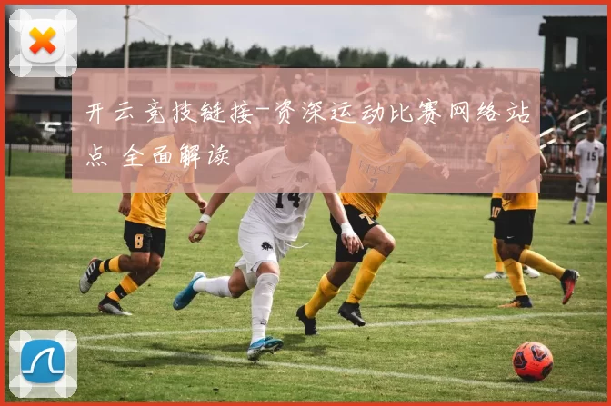 开云竞技链接-资深运动比赛网络站点 全面解读