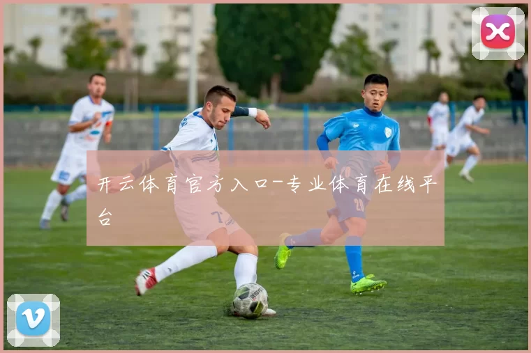 开云体育官方入口-专业体育在线平台