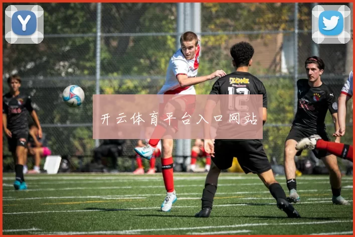 开云体育平台入口网站