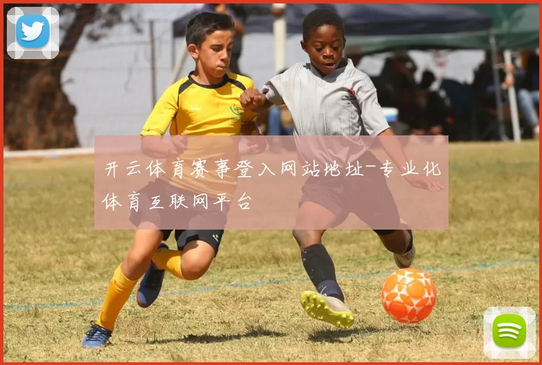 开云体育赛事登入网站地址-专业化体育互联网平台