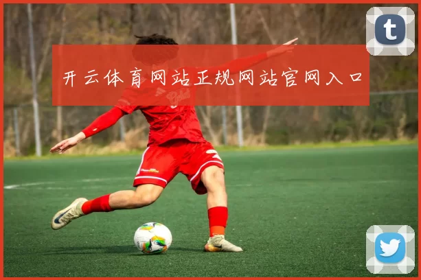 开云体育网站正规网站官网入口
