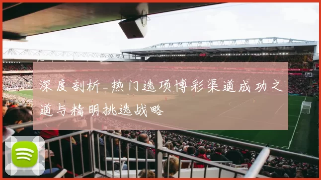 深度剖析_热门选项博彩渠道成功之道与精明挑选战略