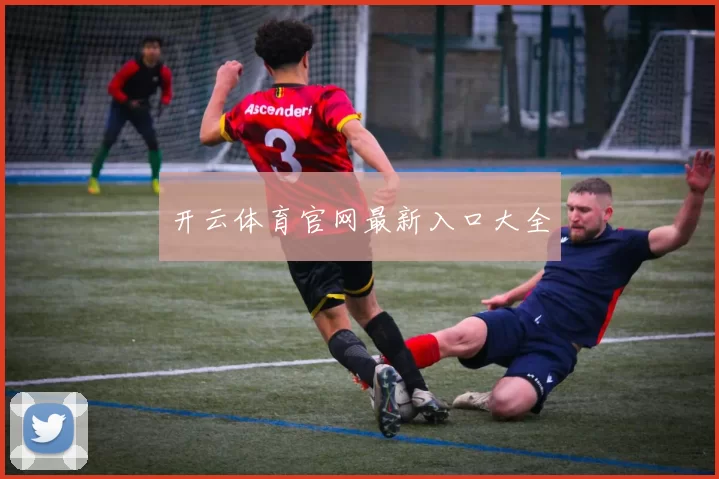 开云体育官网最新入口大全