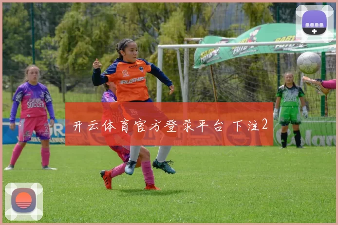 开云体育官方登录平台 下注2