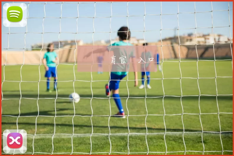 開雲體育官網入口