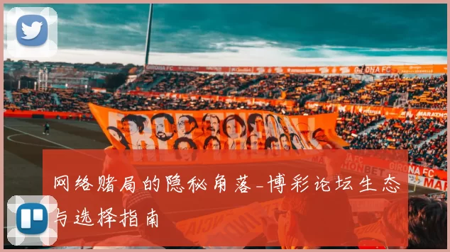 网络赌局的隐秘角落_博彩论坛生态与选择指南