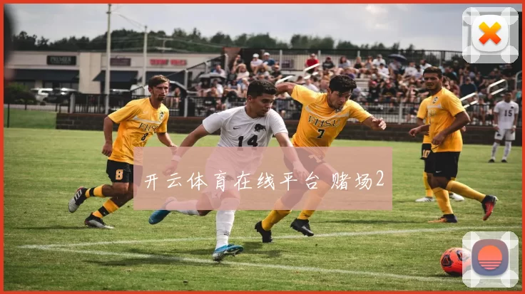 开云体育在线平台 赌场2