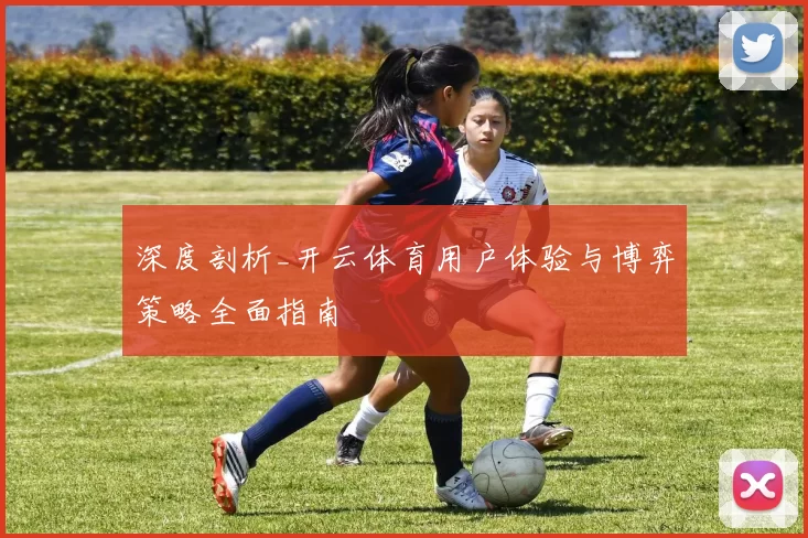 深度剖析_开云体育用户体验与博弈策略全面指南