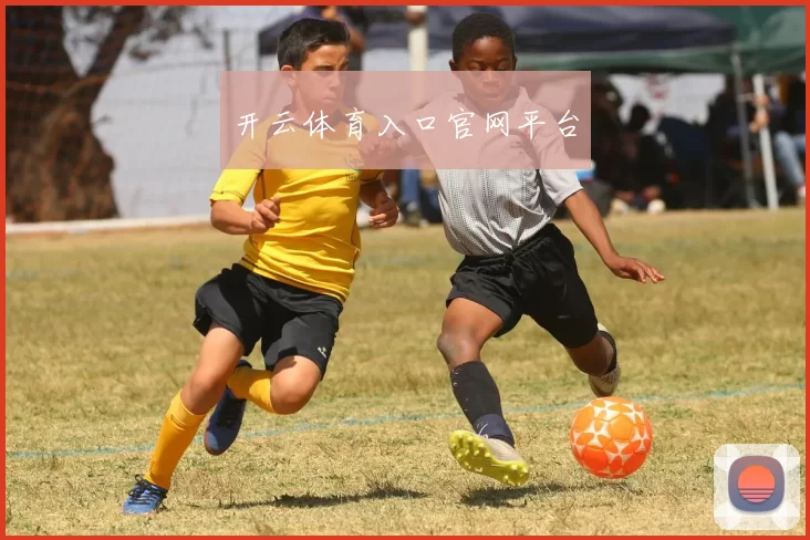 开云体育入口官网平台
