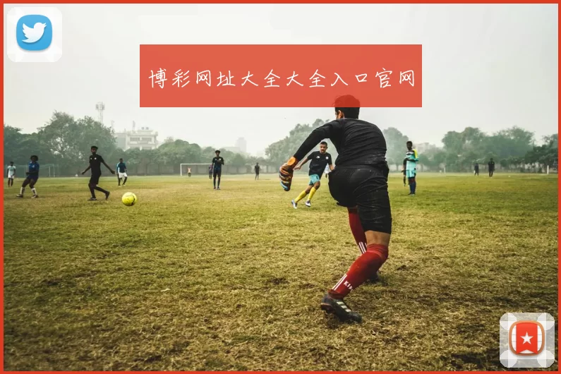 博彩网址大全大全入口官网