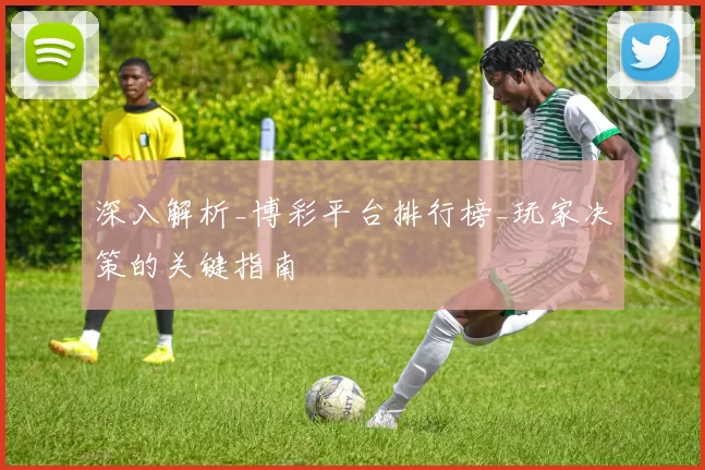 深入解析_博彩平台排行榜_玩家决策的关键指南