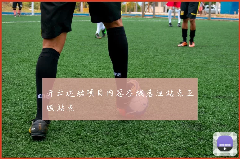 开云运动项目内容在线落注站点正版站点