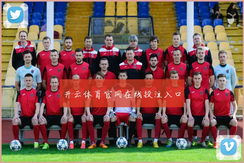 开云体育官网在线投注入口