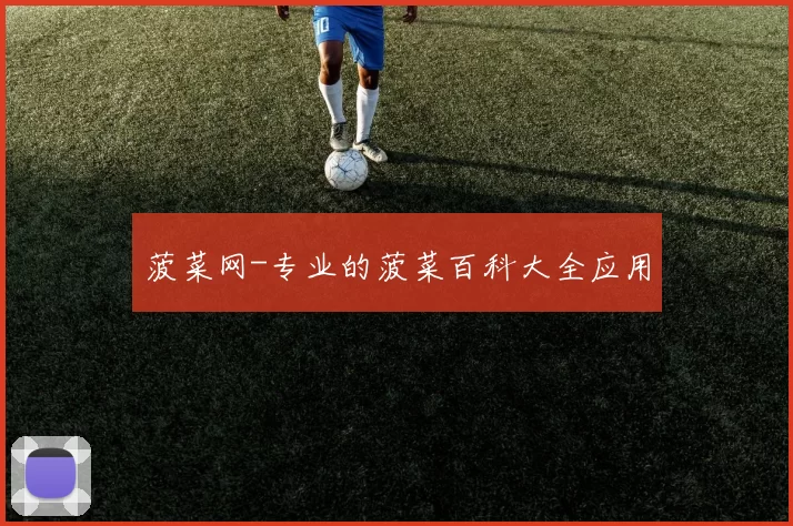 菠菜网-专业的菠菜百科大全应用