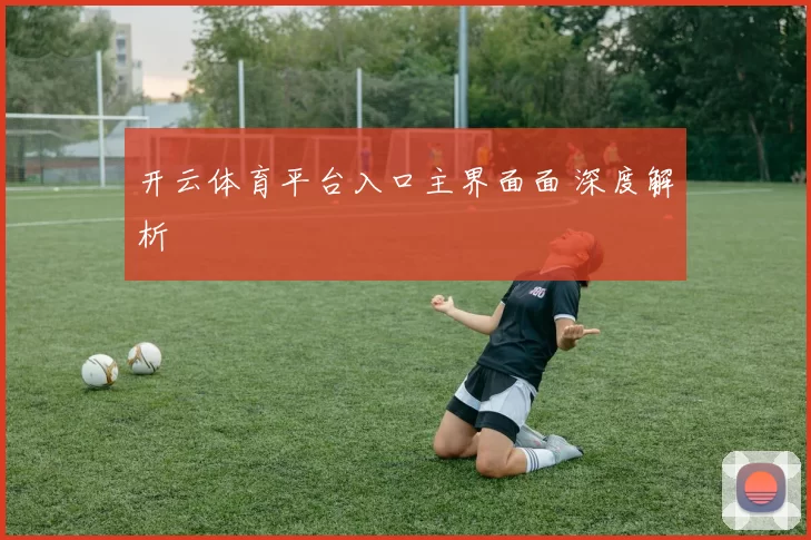 开云体育平台入口主界面面 深度解析