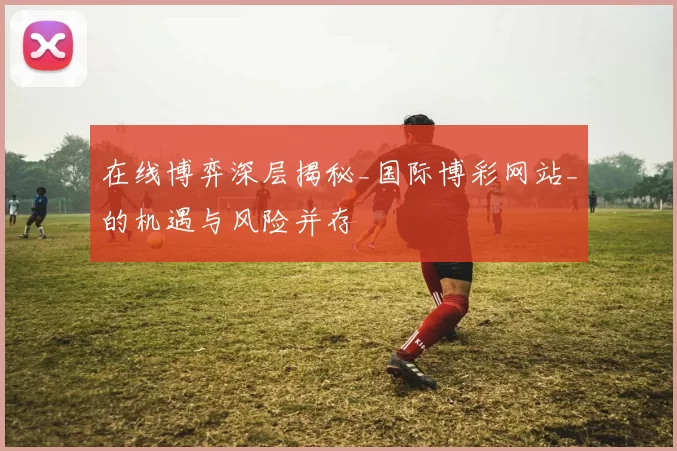 在线博弈深层揭秘_国际博彩网站_的机遇与风险并存