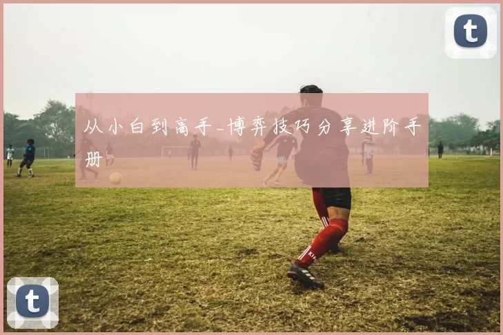 从小白到高手_博弈技巧分享进阶手册