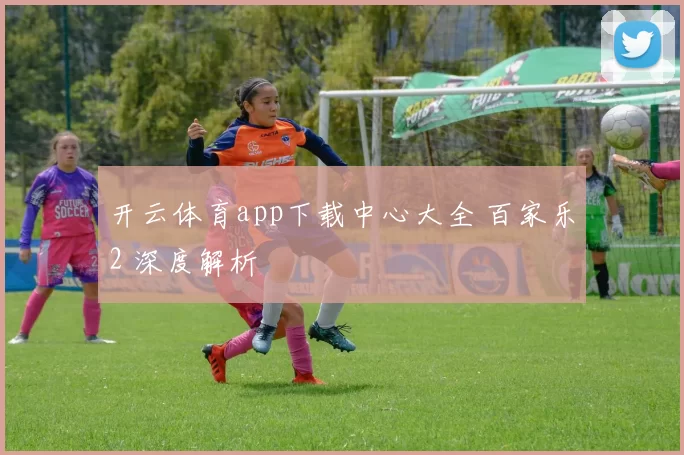 开云体育app下载中心大全 百家乐2 深度解析