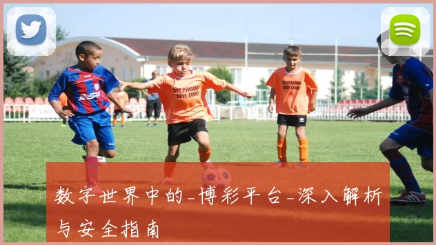 数字世界中的_博彩平台_深入解析与安全指南