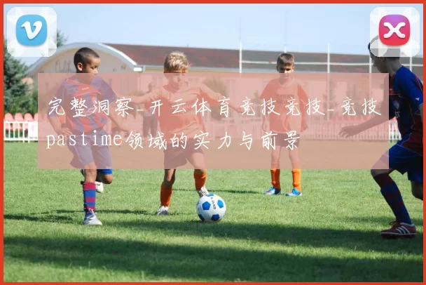 完整洞察_开云体育竞技竞技_竞技pastime领域的实力与前景