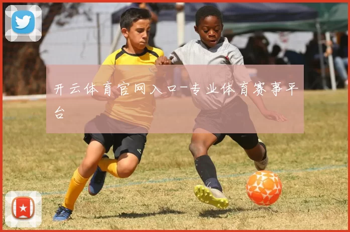 开云体育官网入口-专业体育赛事平台
