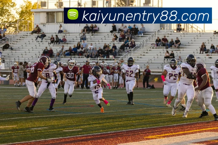 kaiyun平台生态图